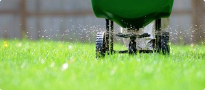 fertilizer-gardening-tips-for-beginners