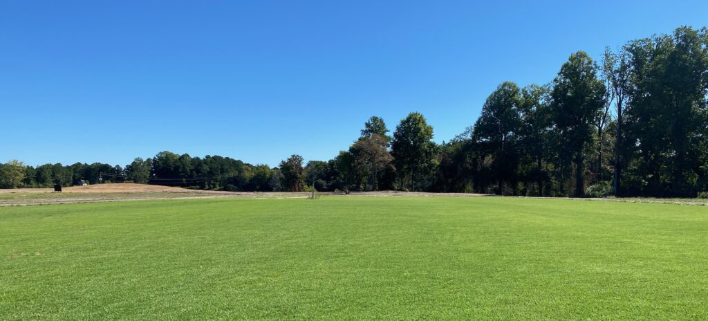 lobo field (2)