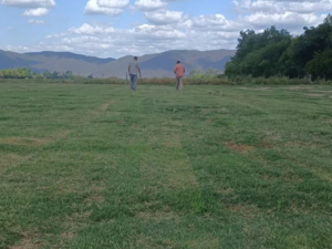 salta